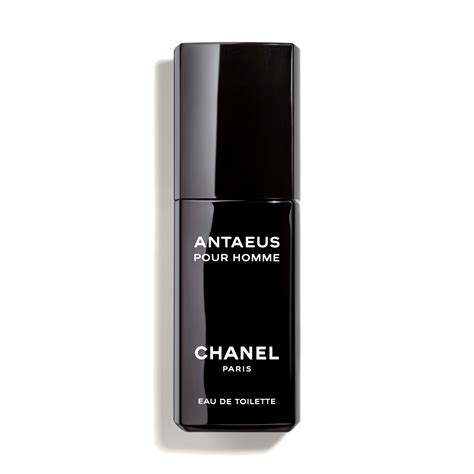 chanel antaeus fragrance